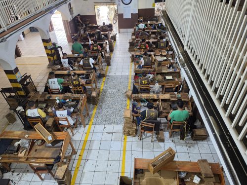 Overhead view of workers handcrafting cigars at wooden workstations lined with tobacco leaves and cigar molds.