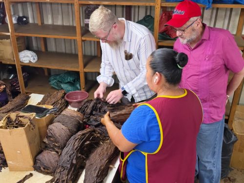 Worker sorting tobacco leaves as two men examine bundles at a cigar factory worktable.